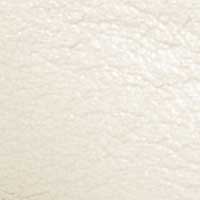 Champagne Metallic color swatch