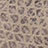 Champagne Snake color swatch
