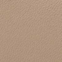 Color Taupe for Baylor