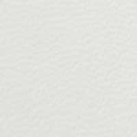 Color White for Bliss