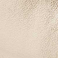 Color Champagne Metallic for Lexi Bridal