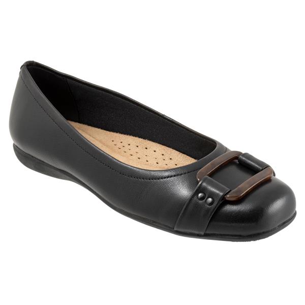 Sizzle Black Tortoise