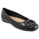 Sizzle Black Tortoise