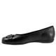 Sizzle Black Tortoise