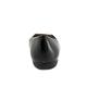 Sizzle Black Tortoise